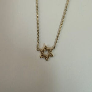 14k Gold Jewish Star w/Diamonds Necklace